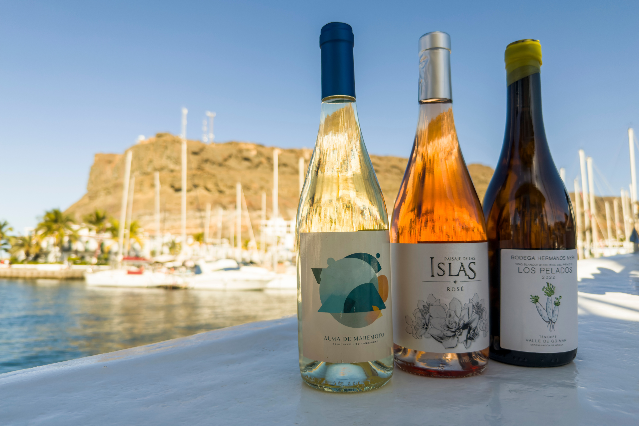 Local Canary Islands wines on a boat in Puerto de Mogan marina during a tasting experience