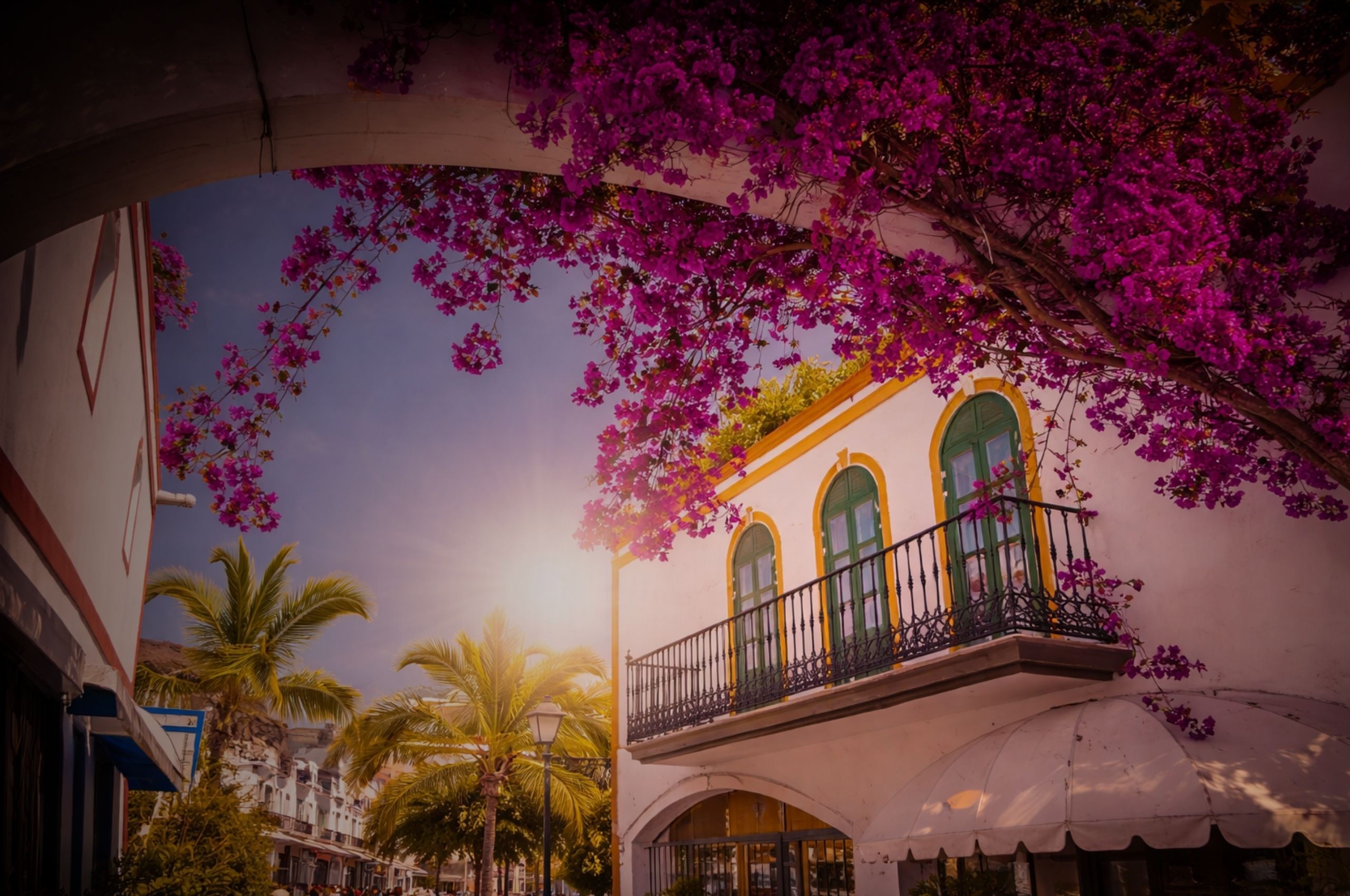 Bougainvillea flowers in Puerto de Mogán Gran Canaria marina village